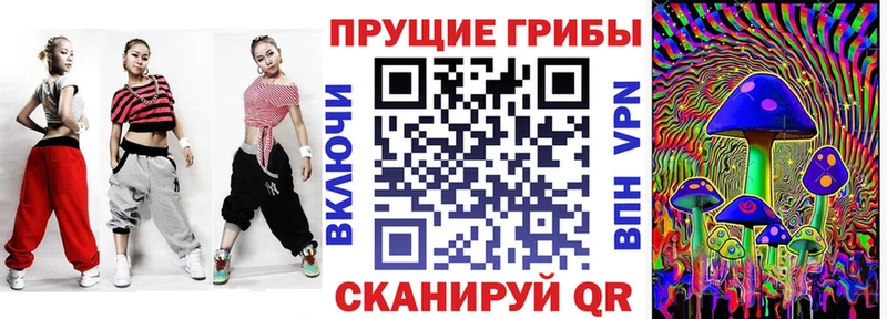 Псилоцибиновые грибы Psilocybine cubensis  Сычёвка 