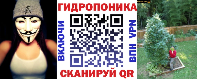 Шишки марихуана марихуана как найти закладки Сычёвка